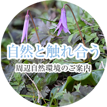 自然と触れ合う 周辺自然環境のご案内